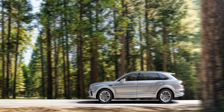 Bentley Johannesburg Bentley Bentayga Extended Wheelbase SUV in Moonbeam paint driving dynamically on a forest road